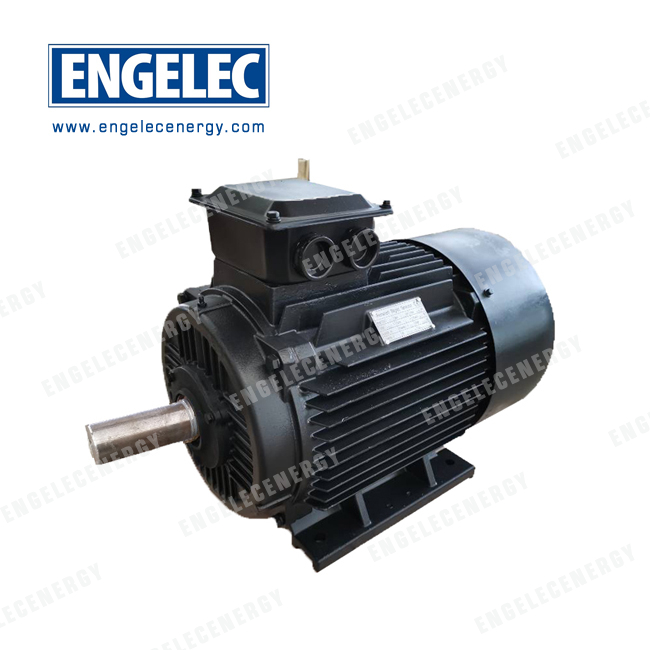 ENP-100KW-3000R-50Hz-380V AC Three Phase Permanent Magnet Generator